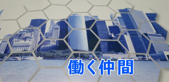釣果レコード